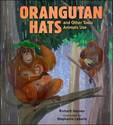 Orangutan Hats and Other Tools Animals Use