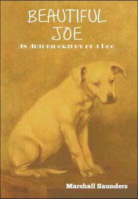 Beautiful Joe