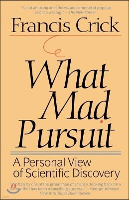 What Mad Pursuit