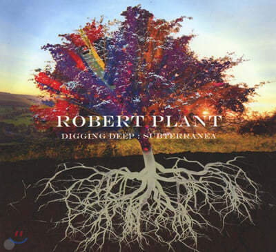 Robert Plant (ιƮ ÷Ʈ) - Digging Deep: Subterranea 