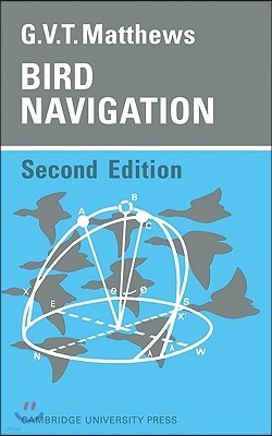 Bird Navigation