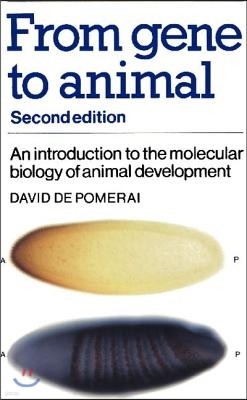 From Gene to Animal