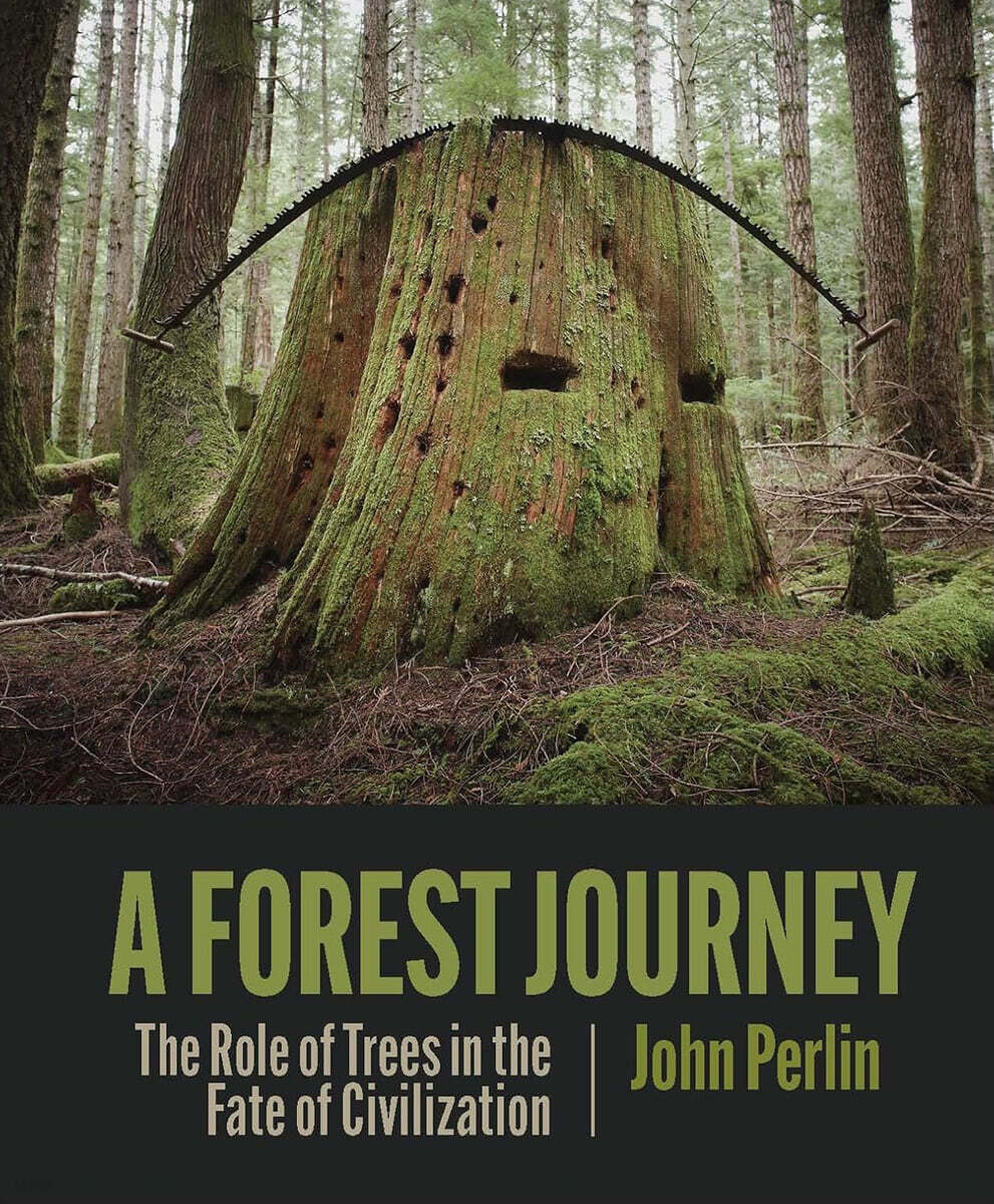 A Forest Journey: The Role of Trees in the Fate of Civilization