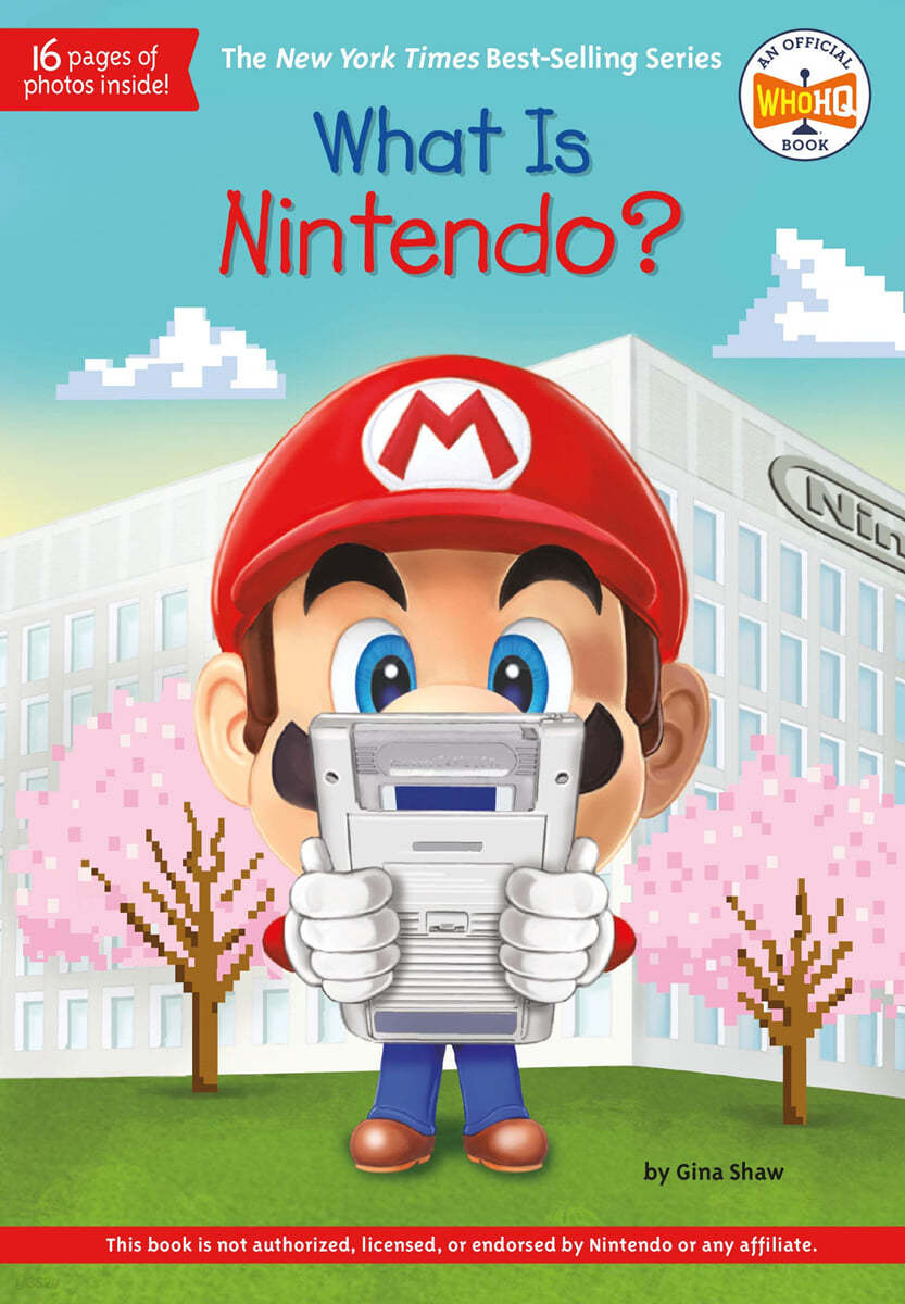 The What Is Nintendo?