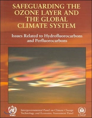 Safeguarding the Ozone Layer and the Global Climate System