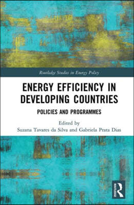 Energy Efficiency in Developing Countries