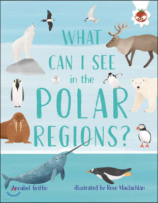 What Can I See in the Polar Regions?