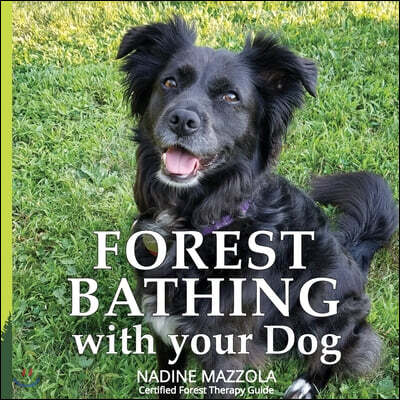 Forest Bathing with your Dog