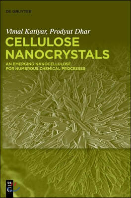 Cellulose Nanocrystals: An Emerging Nanocellulose for Numerous Chemical Processes