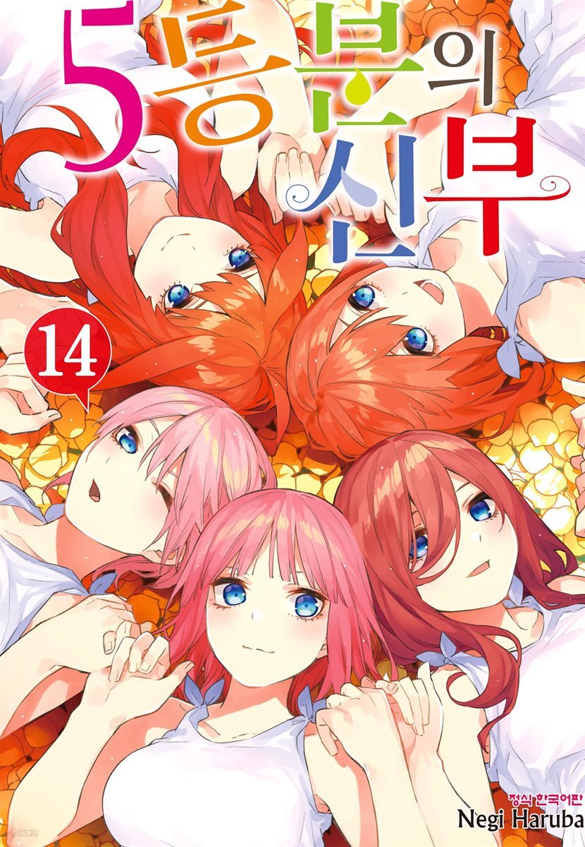 5등분의 신부 14권 (완결)