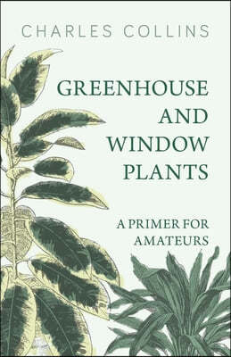 Greenhouse and Window Plants - A Primer for Amateurs