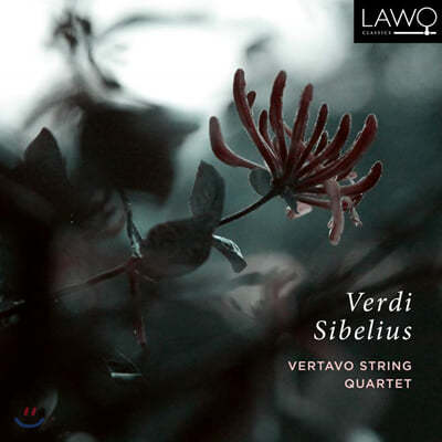 Vertavo String Quartet  / ú콺:   (Verdi / Sibelius: String Quartet) 