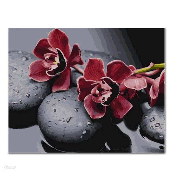 DIY 페인팅 흑돌과붉은꽃 PG52 (50x40)