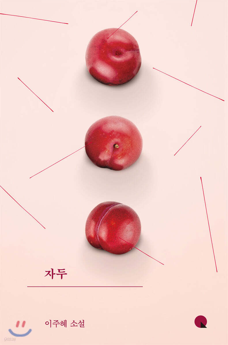 자두 (큰글자도서)
