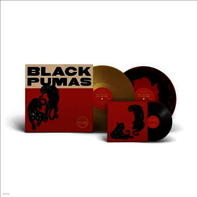 Black Pumas — Black Pumas (Gatefold) 앨범 커버