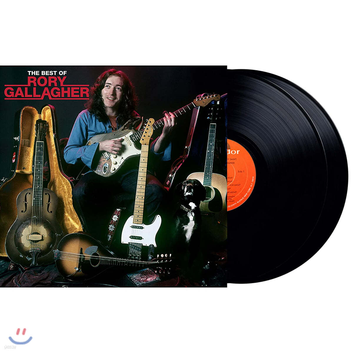 Rory Gallagher (로리 갤러거) - The Best Of [2LP]