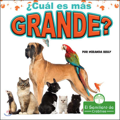 ¿Cual Es Mas Grande? (Which Is Biggest?)