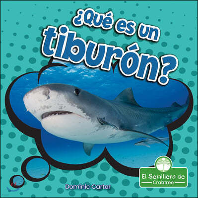 ¿Que Es Un Tiburon? (What Is a Shark?)