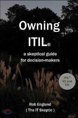 Owning Itil(R): A Skeptical Guide For Decision-Makers