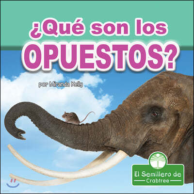 ¿Que Son Los Opuestos? (What Are Opposites?)