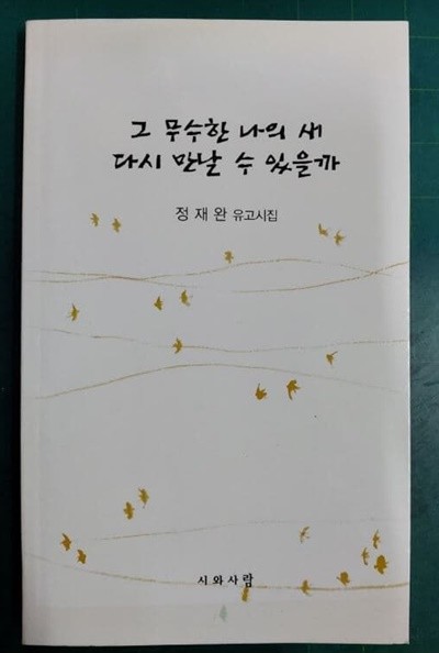 그 무수한 나의 새 다시 만날 수 있을까 (정재완 유고시집) / 시와사람 [초판본]