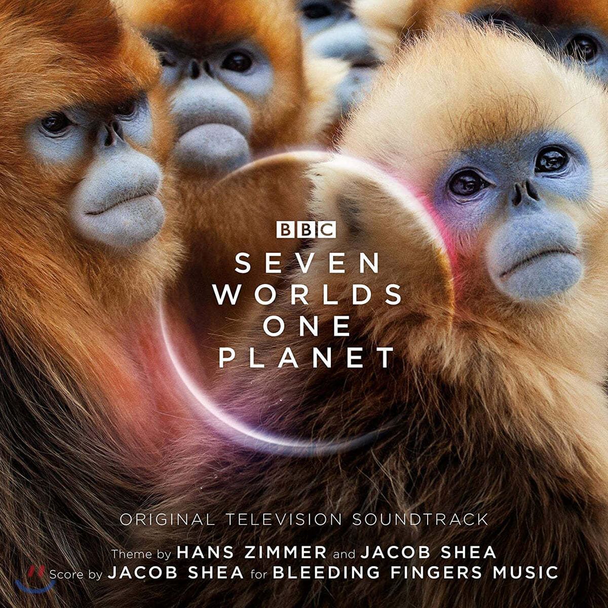 BBC 다큐멘터리 '일곱 개의 세계, 하나의 행성' (Seven Worlds One Planet OST by Hans Zimmer, Jacob Shea )