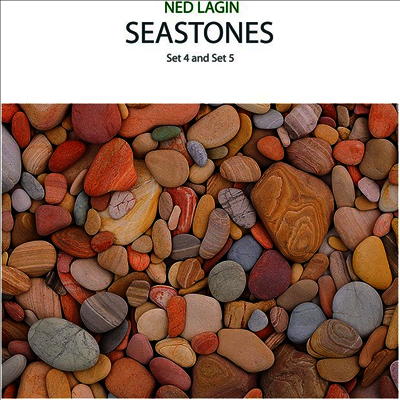 Ned Lagin — Seastones: Set 4 & Set 5 앨범 커버