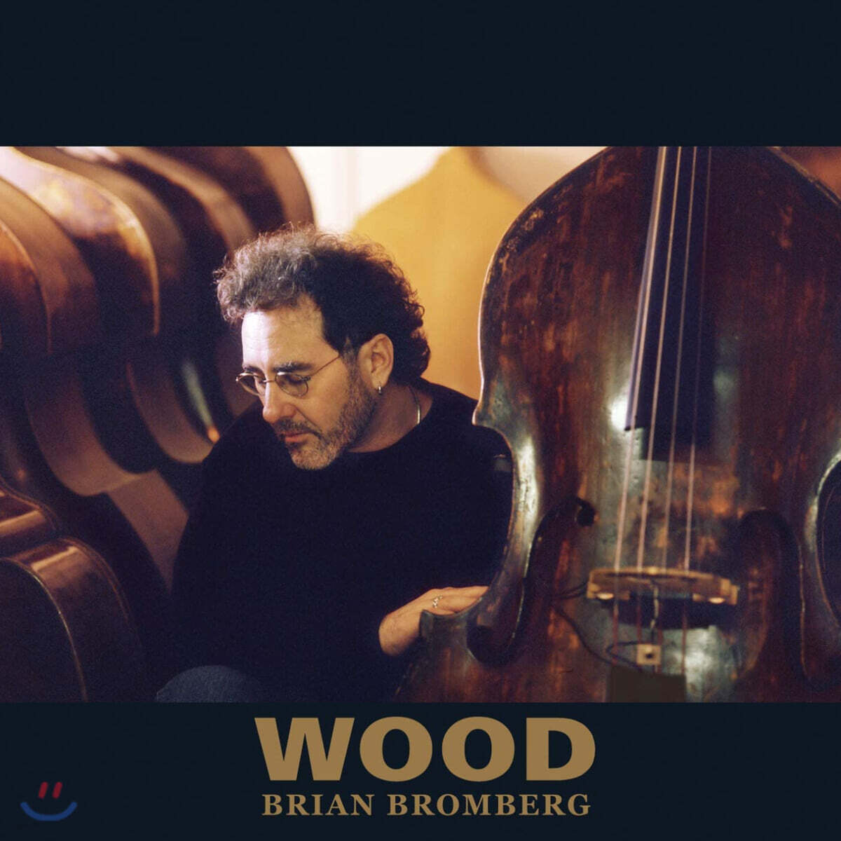 Brian Bromberg - Wood 브라이언 브롬버그 베이스 연주집