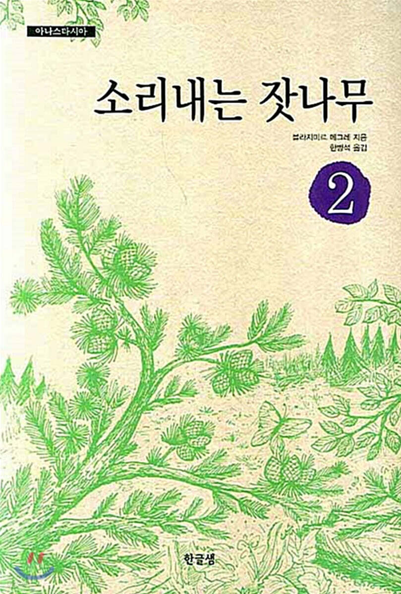 소리내는 잣나무