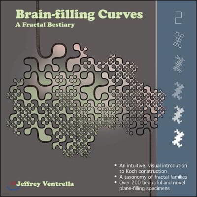 Brainfilling Curves - A Fractal Bestiary