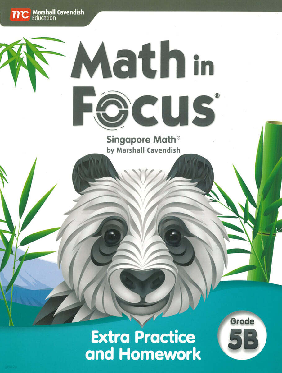 Math in Focus : Extra Practice and Homework G5 Volume B (2020)
