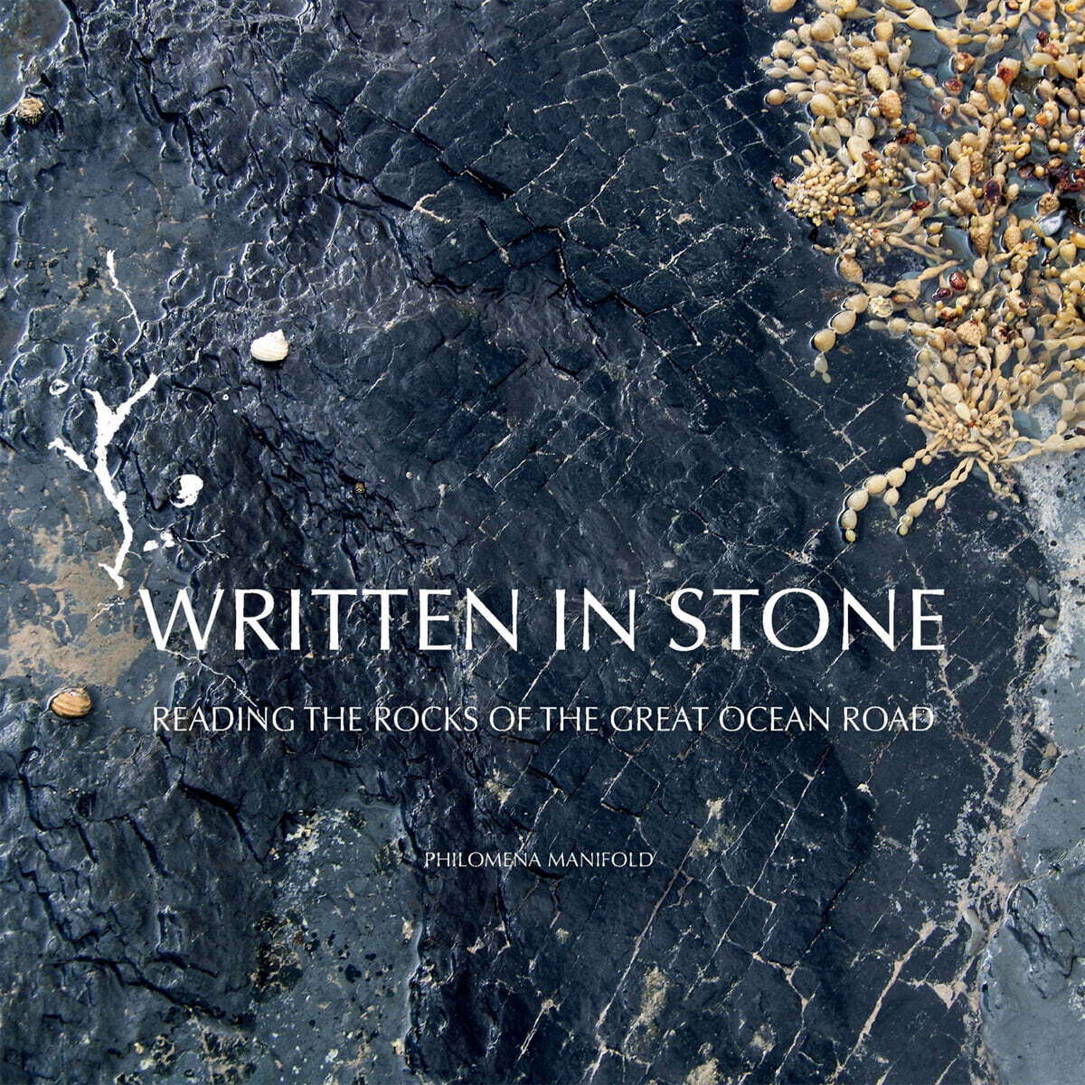 Written in Stone: Reading the Rocks of the Great Ocean Road