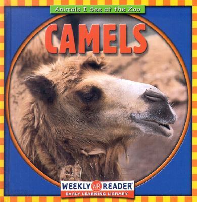 Camels