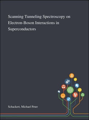 Scanning Tunneling Spectroscopy on Electron-Boson Interactions in Superconductors