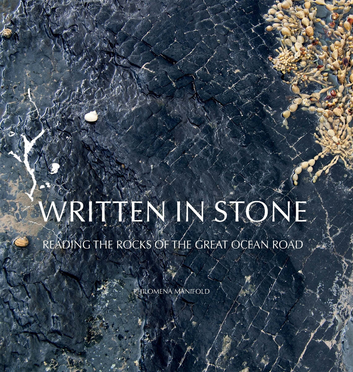 Written in Stone: Reading the Rocks of the Great Ocean Road