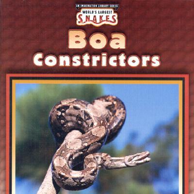 Boa Constrictors