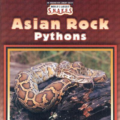 Asian Rock Pythons