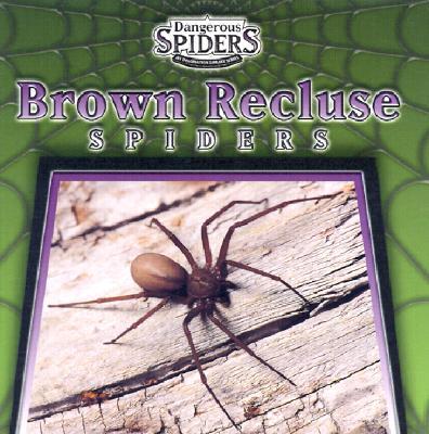 Brown Recluse Spiders