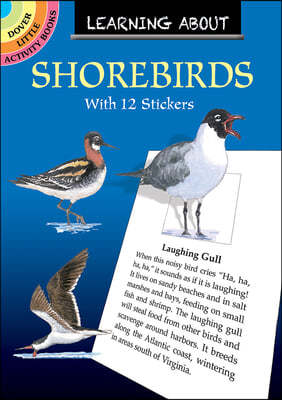 Learning About Shorebirds