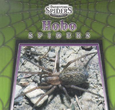 Hobo Spiders