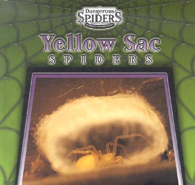 Yellow Sac Spiders