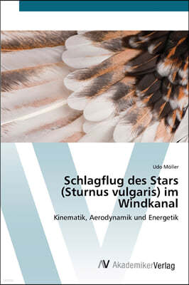 Schlagflug des Stars (Sturnus vulgaris) im Windkanal