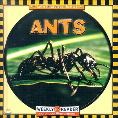 Ants