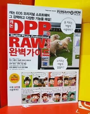 캐논 DPP로 RAW현상 완벽가이드