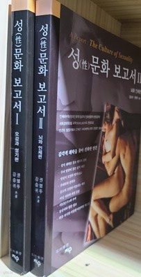 성문화 보고서1.2