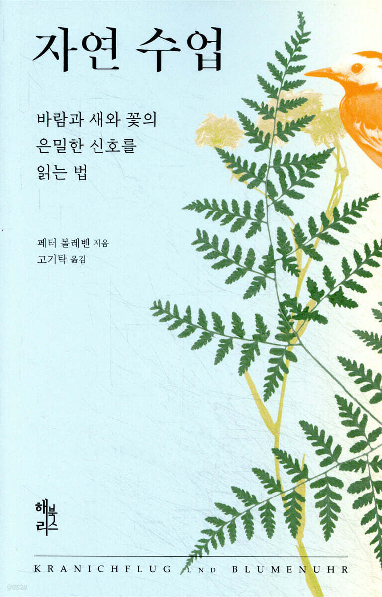 자연 수업