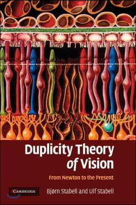 Duplicity Theory of Vision