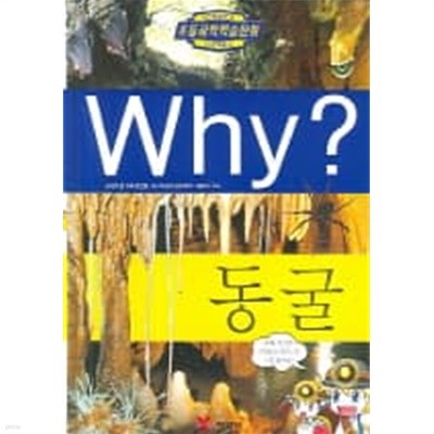 Why? 동굴