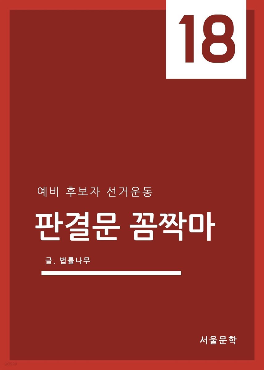 판결문 꼼짝마 18 : 예비 후보자 선거운동