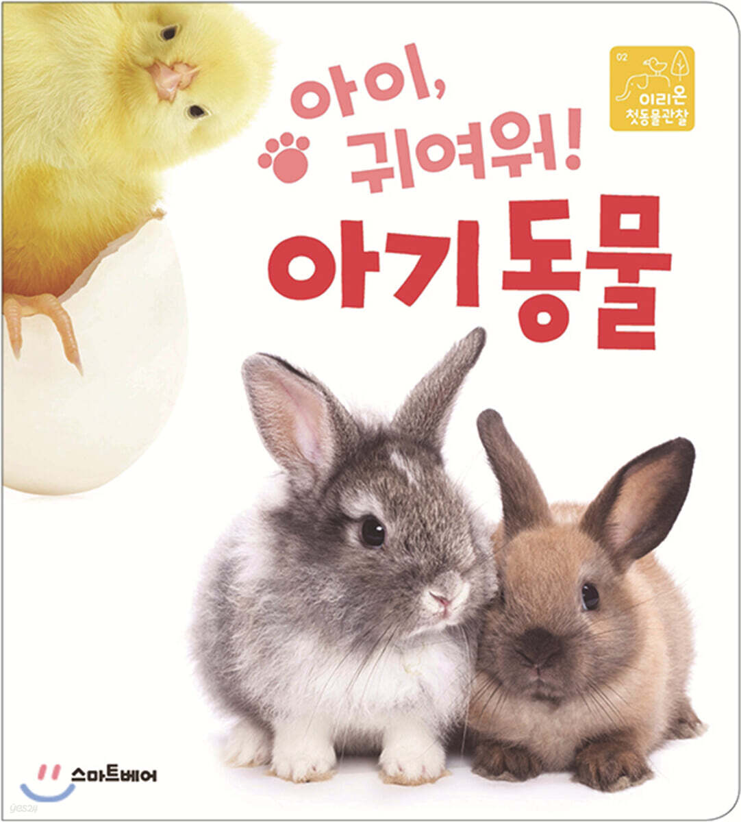 아이, 귀여워! 아기 동물
